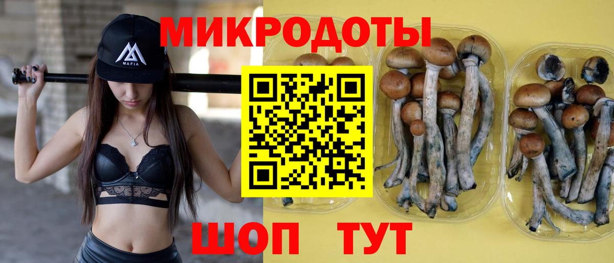 Галлюциногенные грибы Psilocybine cubensis  Вход с VPN  Сорочинск 